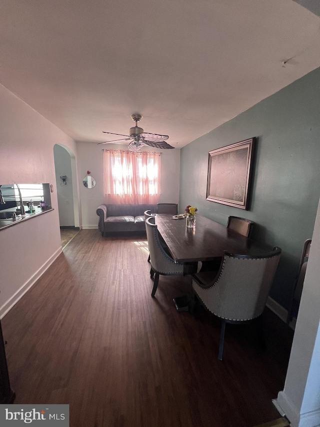 dining room featuring ceiling fan and wood-type flooring