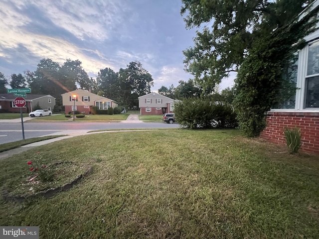 view of yard