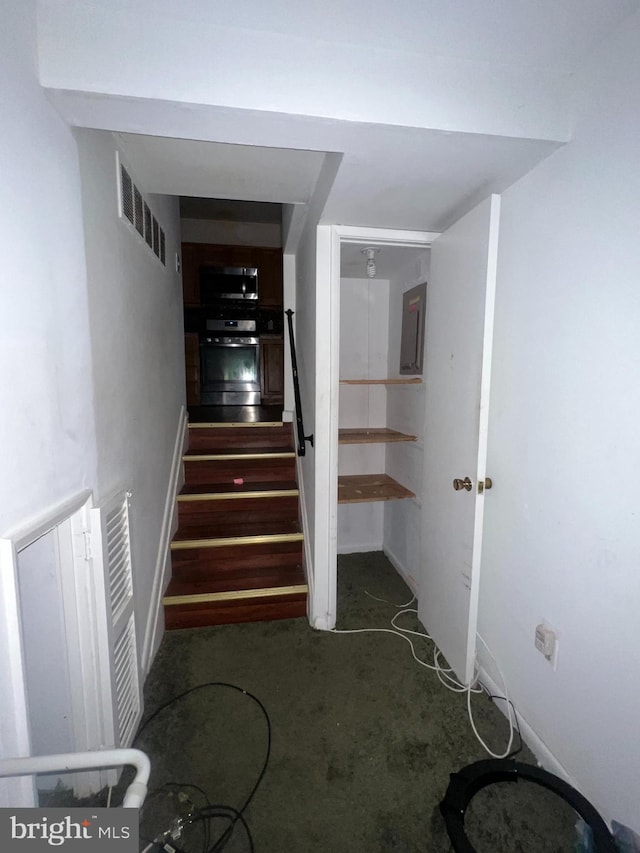 stairway featuring carpet flooring