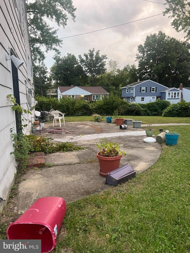 view of yard featuring a patio area