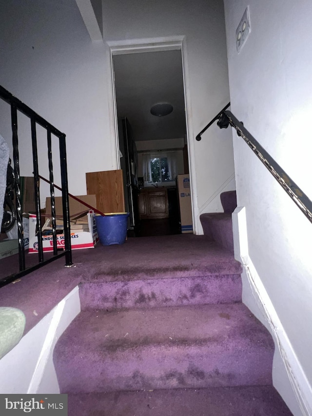 staircase with carpet floors