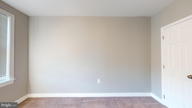 spare room featuring light colored carpet