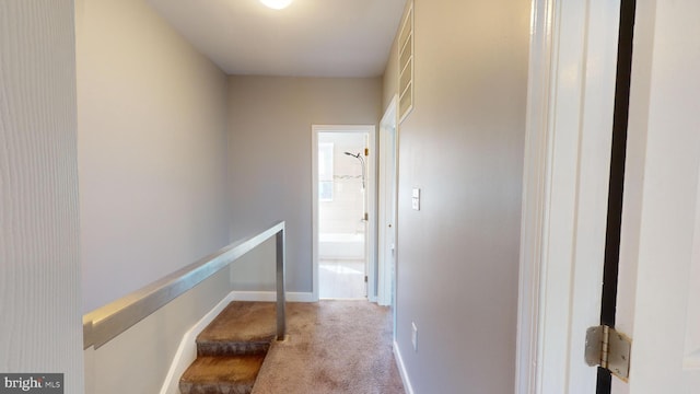 hallway with light carpet