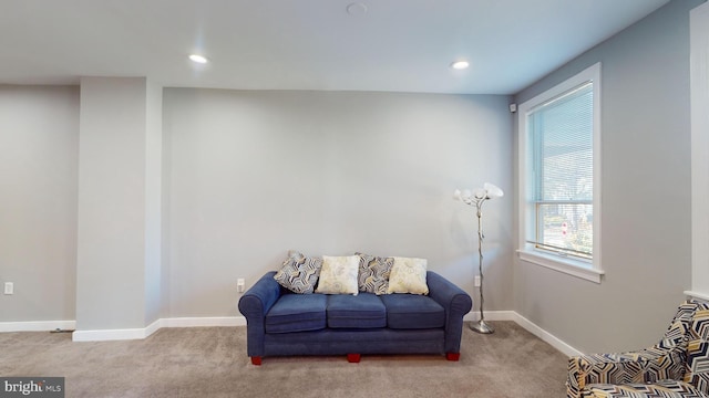 living area featuring light carpet