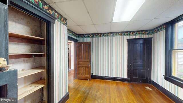 interior space with plenty of natural light, wallpapered walls, wood finished floors, and a paneled ceiling