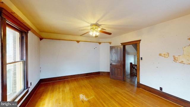spare room featuring baseboards, a ceiling fan, light wood-type flooring, and a wealth of natural light