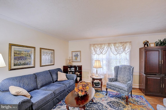 living room featuring ornamental molding, light hardwood / wood-style floors, and a textured ceiling