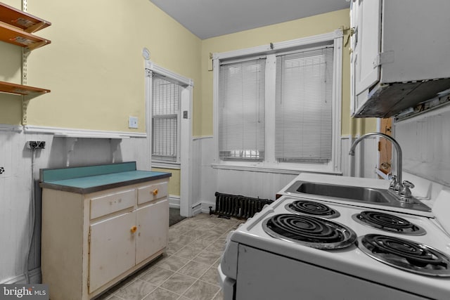 kitchen featuring sink and white cabinetry