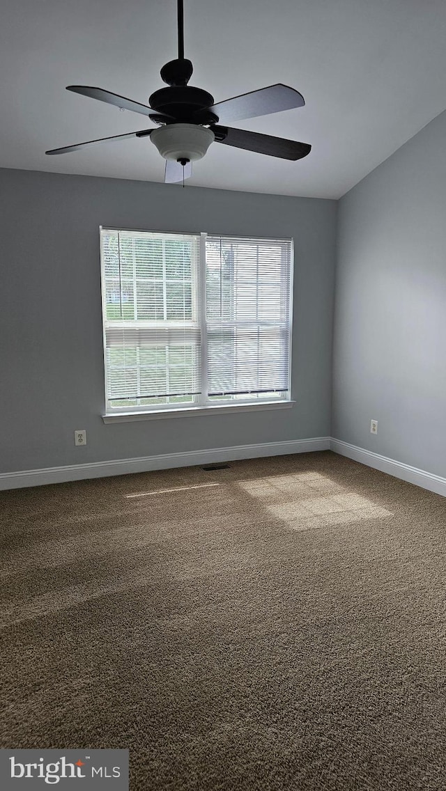 carpeted spare room with ceiling fan and a wealth of natural light