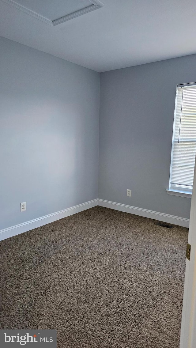 unfurnished room with carpet flooring