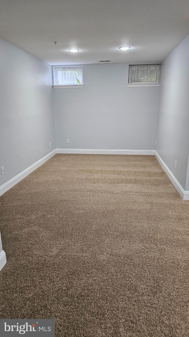 basement with carpet floors