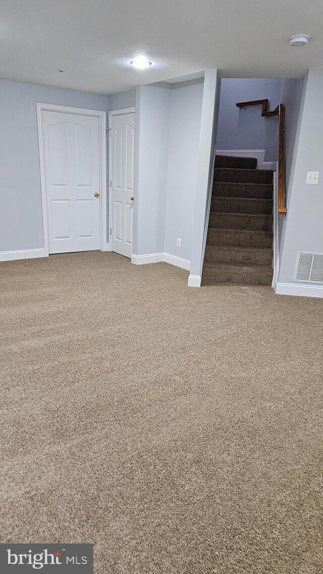 basement featuring carpet