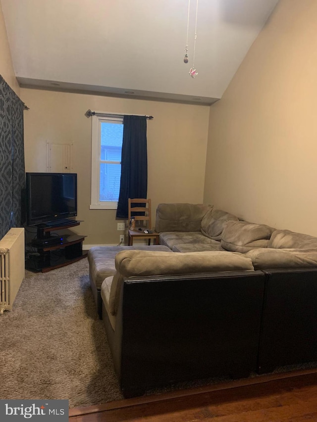 living room featuring hardwood / wood-style floors, vaulted ceiling, and radiator heating unit