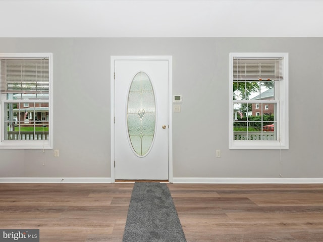 entrance foyer with wood-type flooring