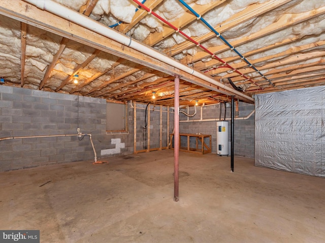 basement with electric water heater