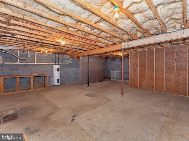 basement with water heater