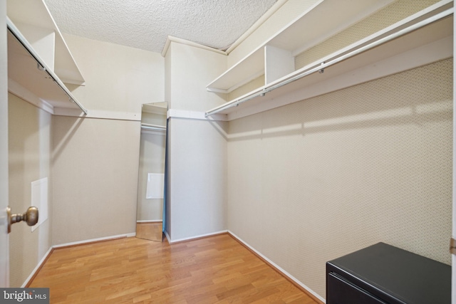 spacious closet with hardwood / wood-style floors