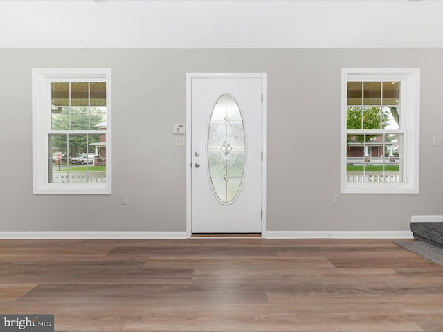 entryway with hardwood / wood-style flooring and a wealth of natural light