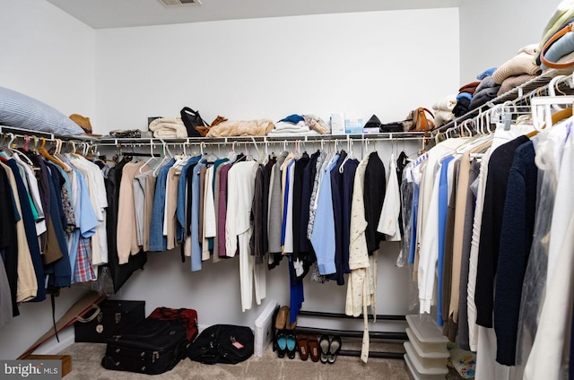 walk in closet with carpet floors