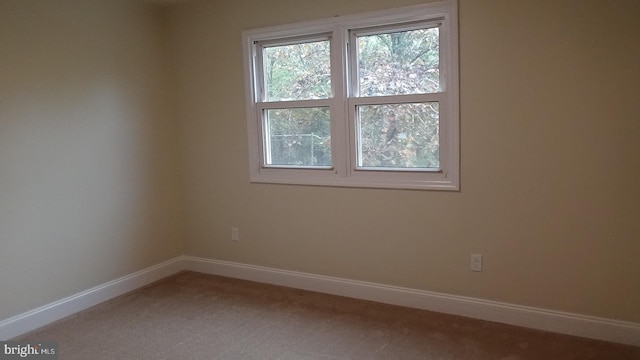 spare room featuring carpet floors