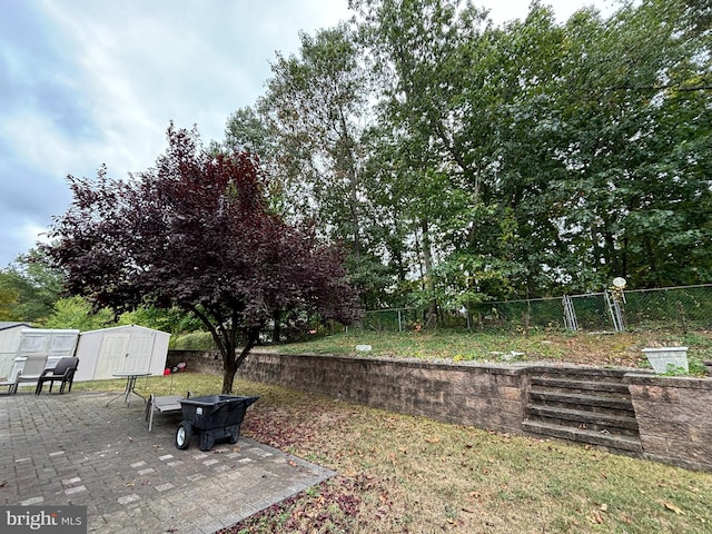 view of yard featuring a storage unit and a patio area