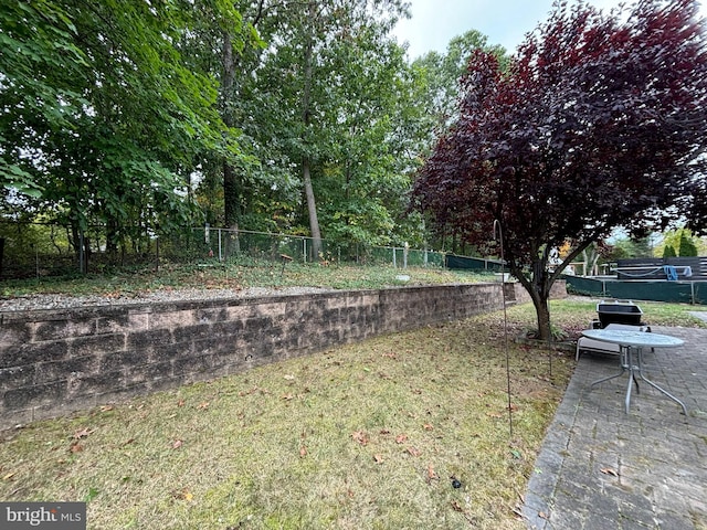 view of yard with a patio area