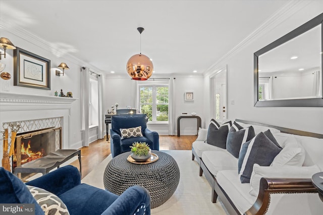 living room with a premium fireplace, light hardwood / wood-style floors, and crown molding