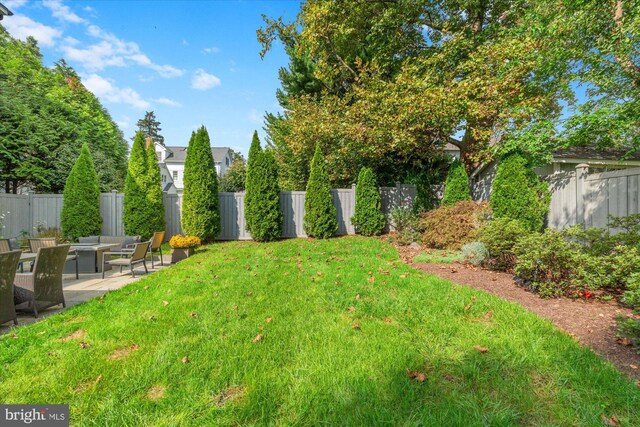 view of yard featuring a patio