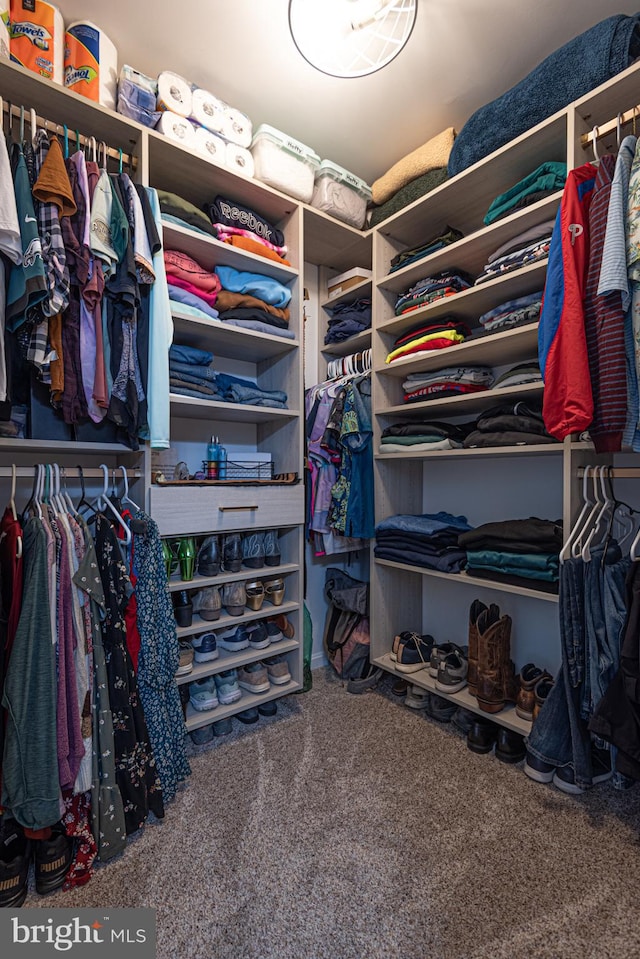 walk in closet featuring carpet