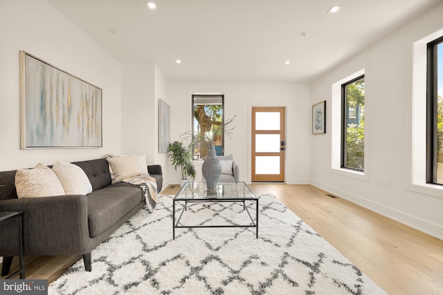 living room featuring light hardwood / wood-style floors