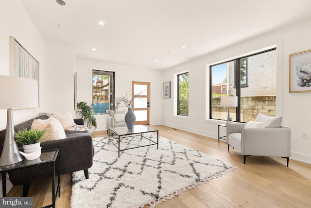 living room with light hardwood / wood-style floors