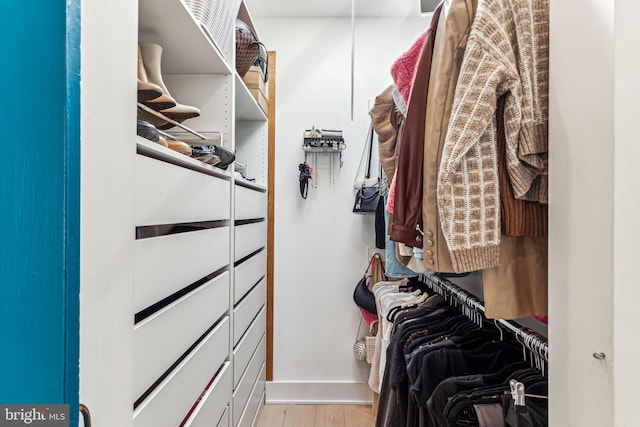 walk in closet featuring light hardwood / wood-style floors