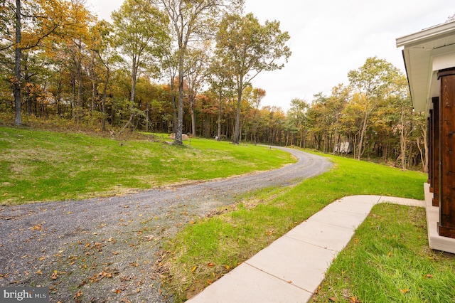 view of property's community featuring a lawn