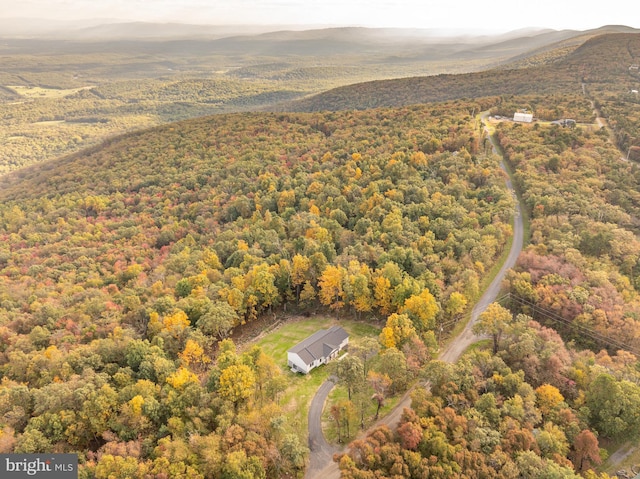 birds eye view of property with a mountain view