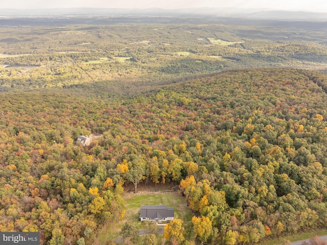 bird's eye view