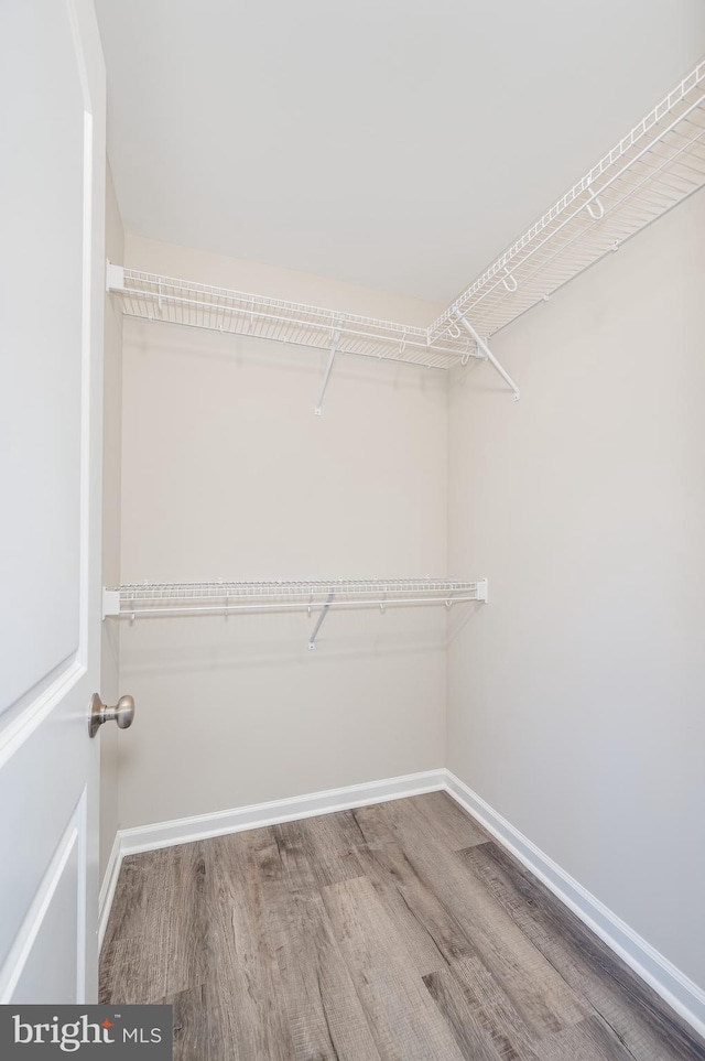 spacious closet with wood-type flooring