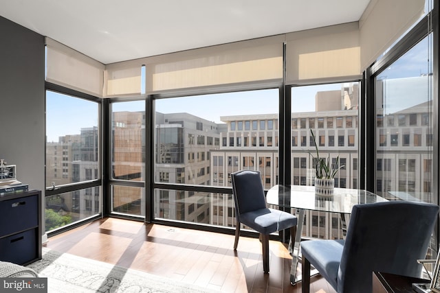 view of sunroom / solarium