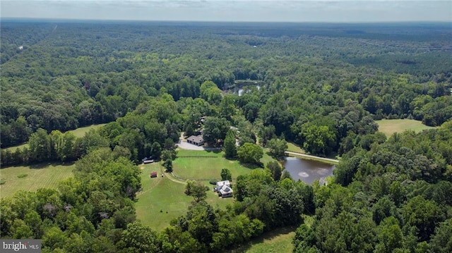 birds eye view of property with a water view and a forest view
