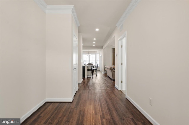 hallway with dark hardwood / wood-style flooring and crown molding