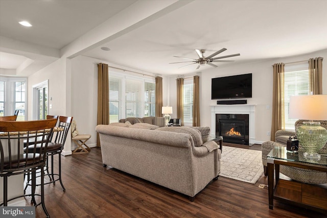 living room with ceiling fan and dark hardwood / wood-style floors