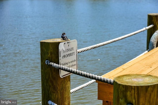 view of dock with a water view