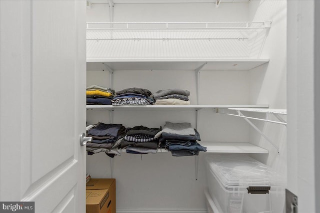 view of walk in closet