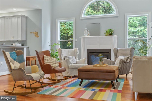 living area featuring light hardwood / wood-style flooring