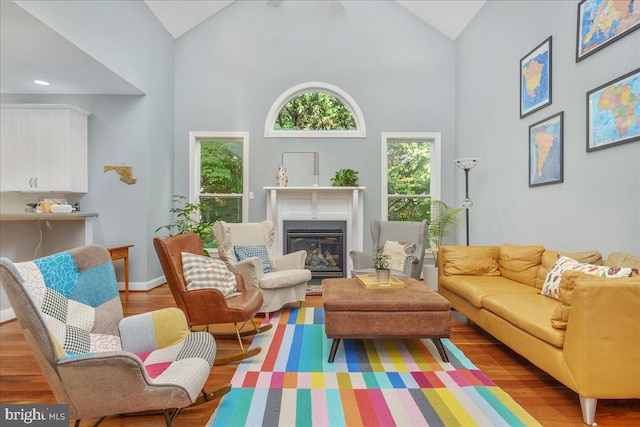 living room featuring high vaulted ceiling and wood-type flooring