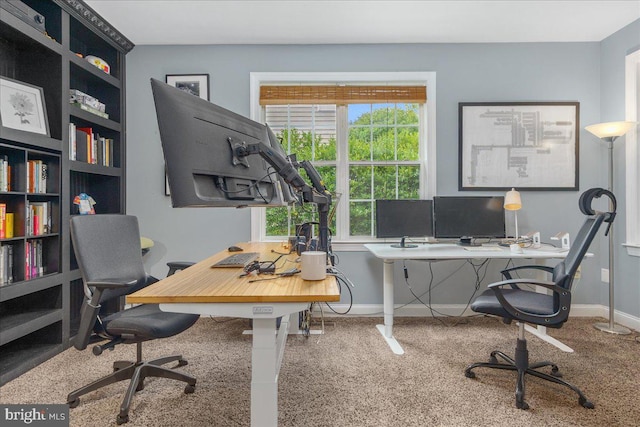 office featuring carpet flooring