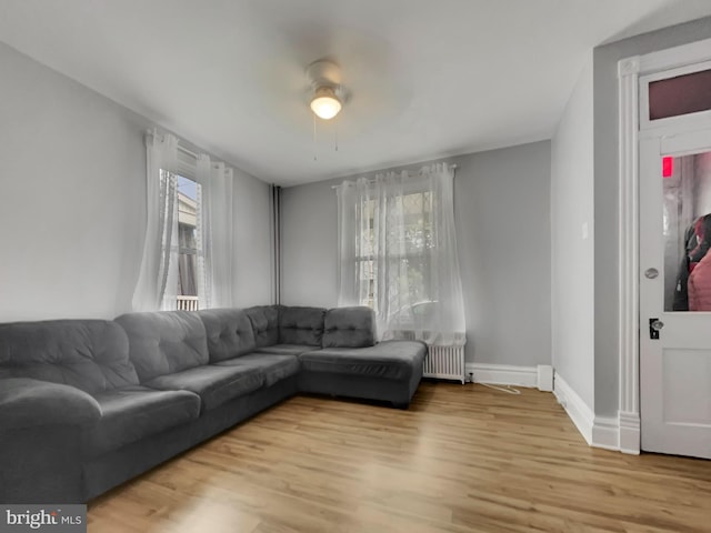 living room featuring light wood-type flooring, ceiling fan, and radiator heating unit