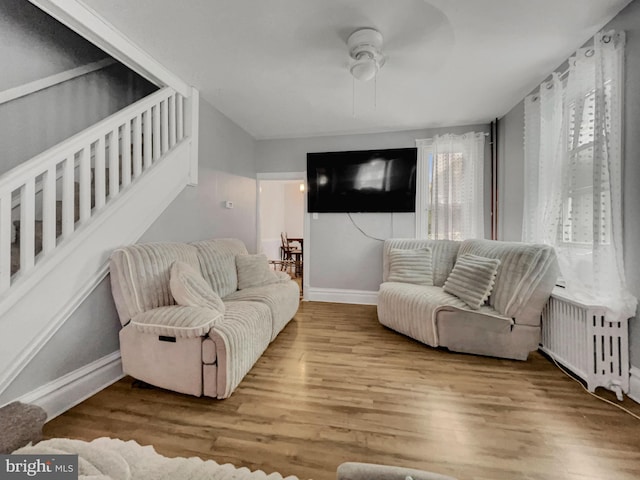 living room featuring ceiling fan, radiator, and hardwood / wood-style floors