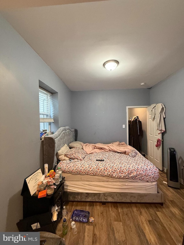 bedroom featuring a spacious closet, a closet, and wood-type flooring