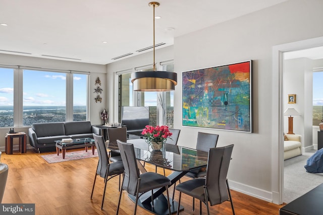 dining room with wood-type flooring