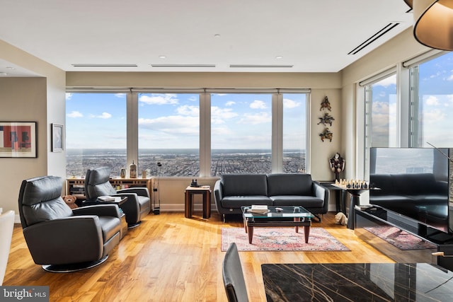 living room with light hardwood / wood-style floors and a wealth of natural light